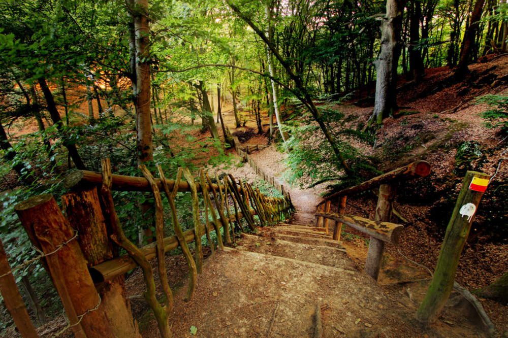 Omgeving